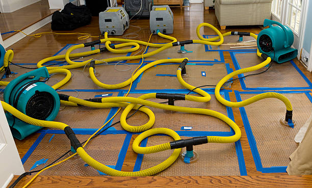 Professional Burst Pipe Water Damage technician working in Deal, NJ